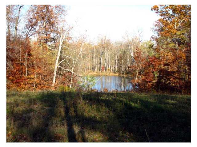 0 East 500 S Road Franklin, IN 46131 - Photo 12 of 24 Gallery Image 12