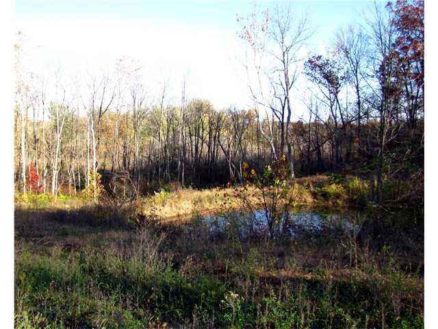0 East 500 S Road Franklin, IN 46131 - Photo 8 of 24 Gallery Image 8