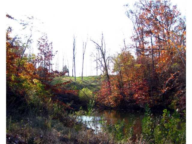 0 East 500 S Road Franklin, IN 46131 - Photo 10 of 24 Gallery Image 10