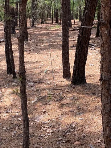 $40,000 | 0 Clear Lake Drive, La Grange, TX 78945