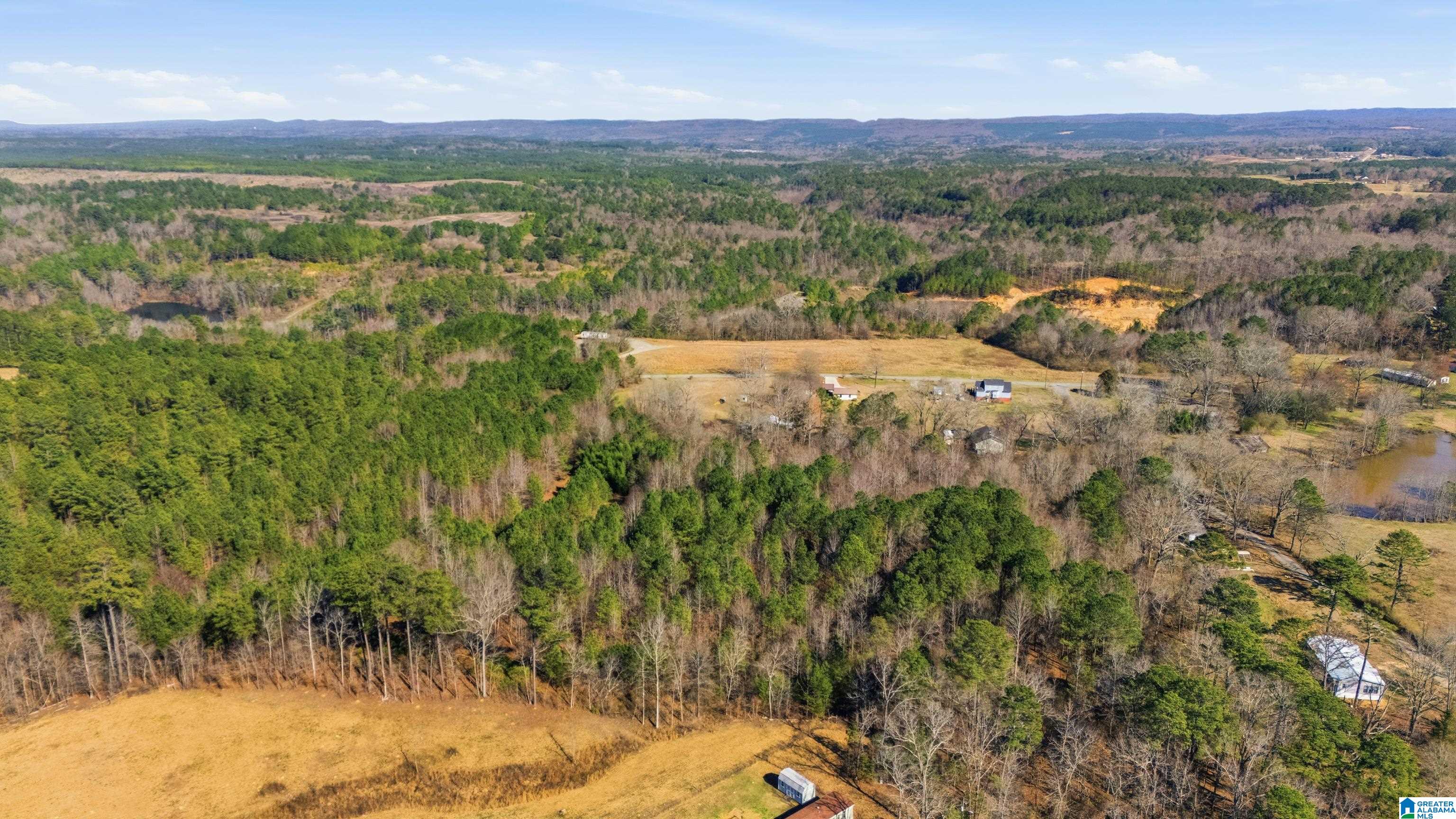5304 Deans Ferry Road Trafford, AL 35172 - Photo 11 of 14