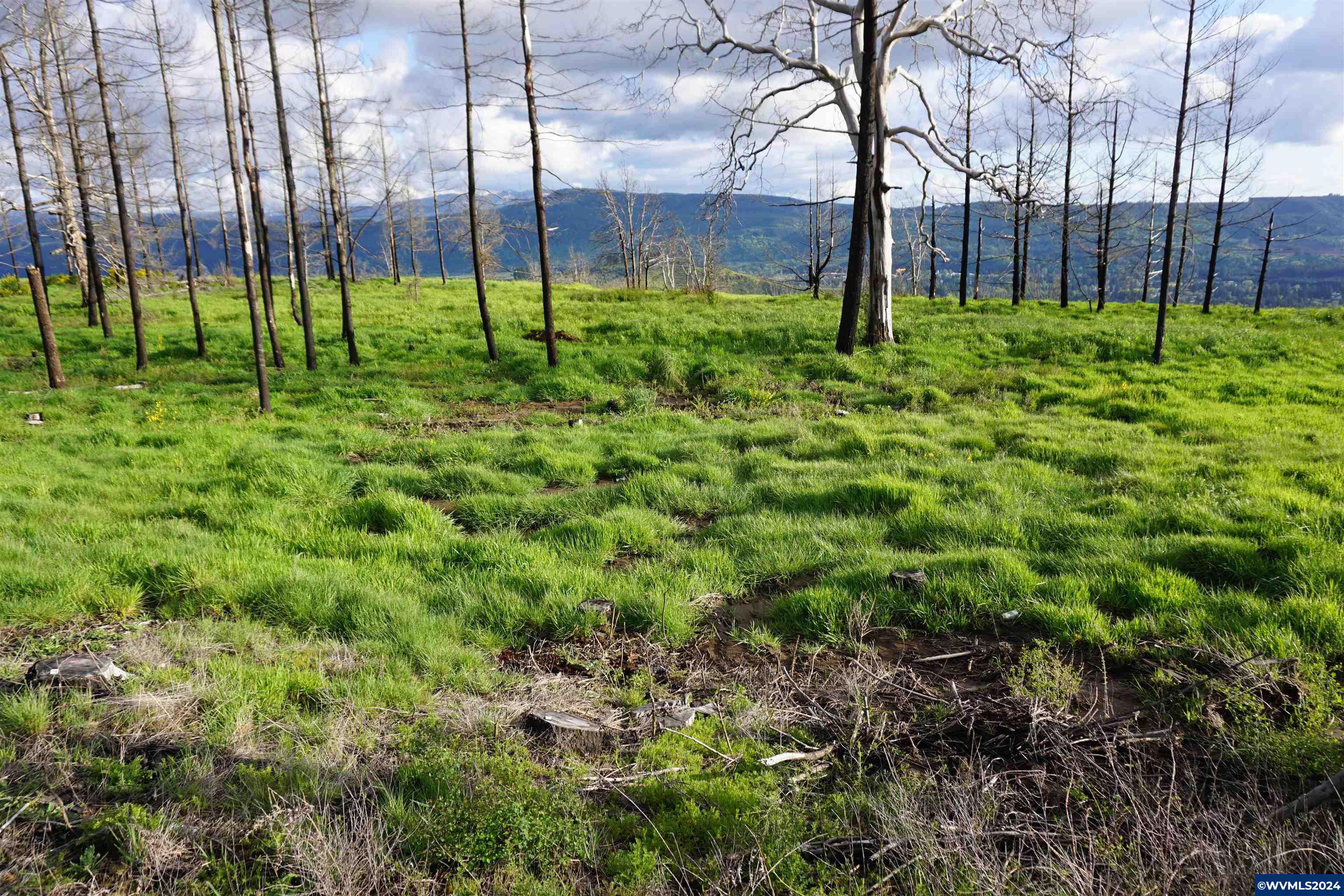 900 Wagner Road Lyons, OR 97358 - Photo 20 of 30