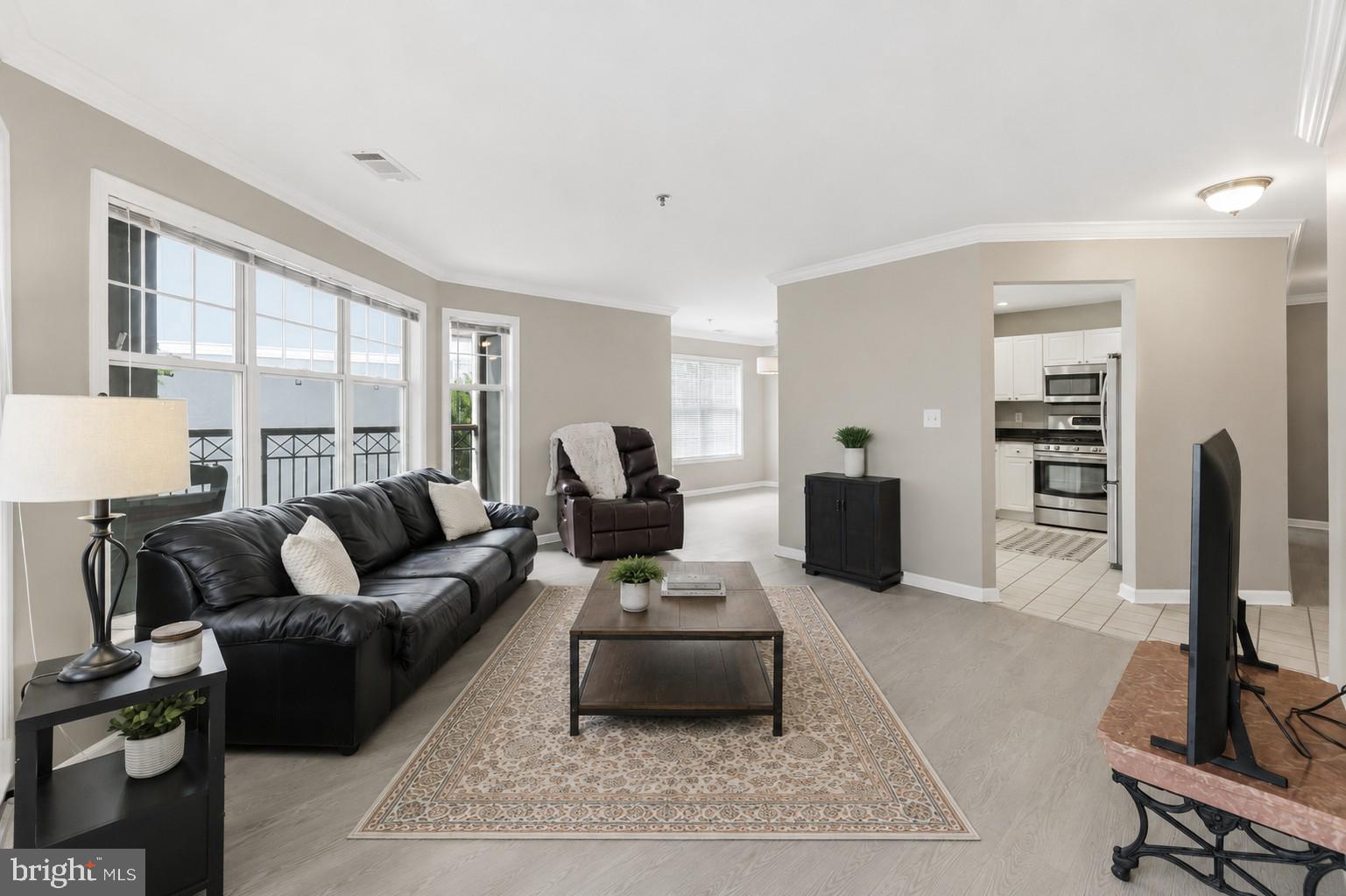5565 Seminary Road, Unit 313 Falls Church, VA 22041 - Photo 17 of 64 Generous Living Room