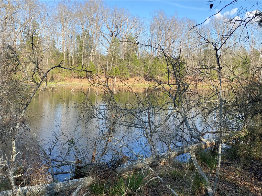 0 Abercrombie Road Honea Path, SC 29654 - Photo 6 of 18 This tranquil waterfront property offers serene views of the surrounding natural landscape.