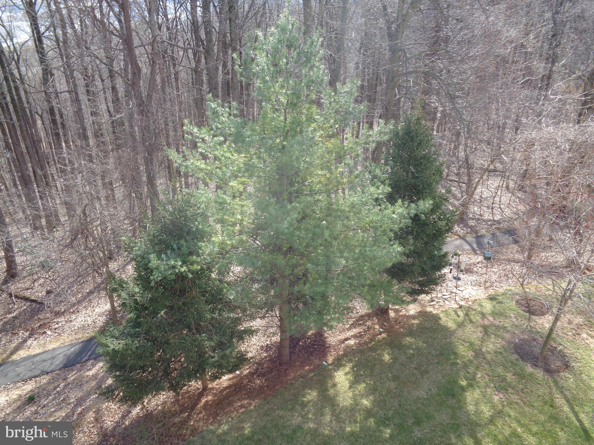 12330 Rosslare Ridge Road, Unit 306 Lutherville-Timonium, MD 21093 - Photo 27 of 29 View