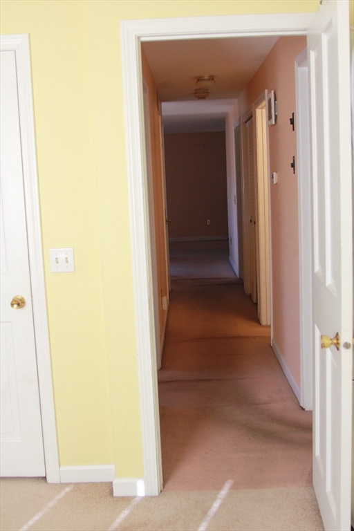 137 Benz Street Springfield, MA 01118 - Photo 13 of 20