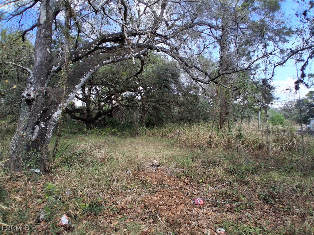 Suwanee Avenue LaBelle, FL 33935 - Photo 11 of 17