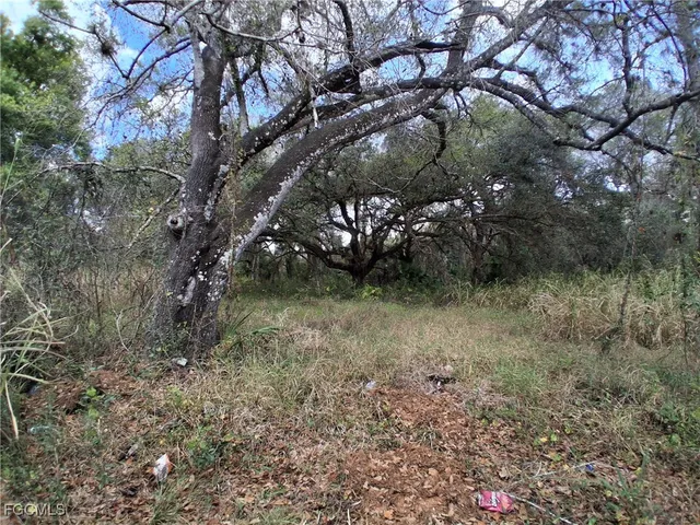 $50,000 | Suwanee Avenue, LaBelle, FL 33935