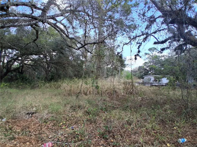 $50,000 | Suwanee Avenue, LaBelle, FL 33935