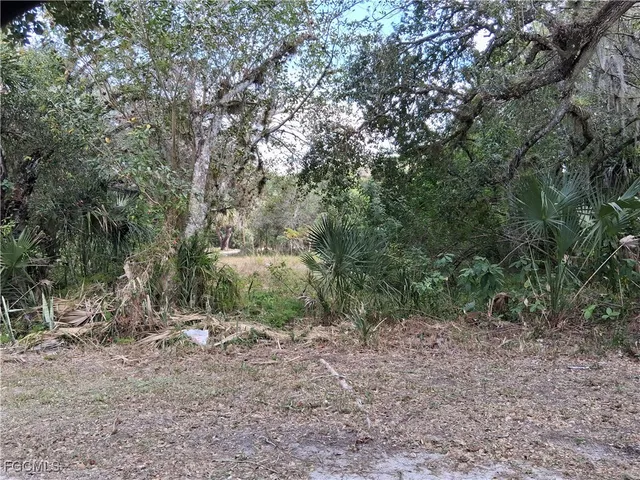 $50,000 | Suwanee Avenue, LaBelle, FL 33935