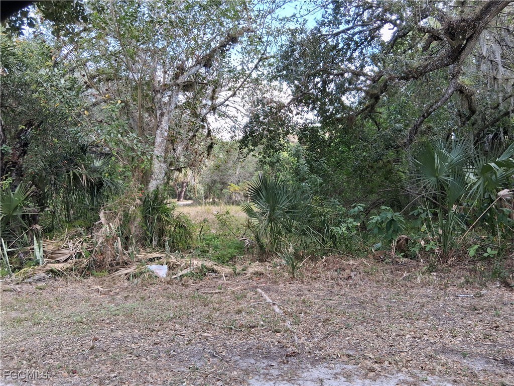 Suwanee Avenue LaBelle, FL 33935 - Photo 14 of 17