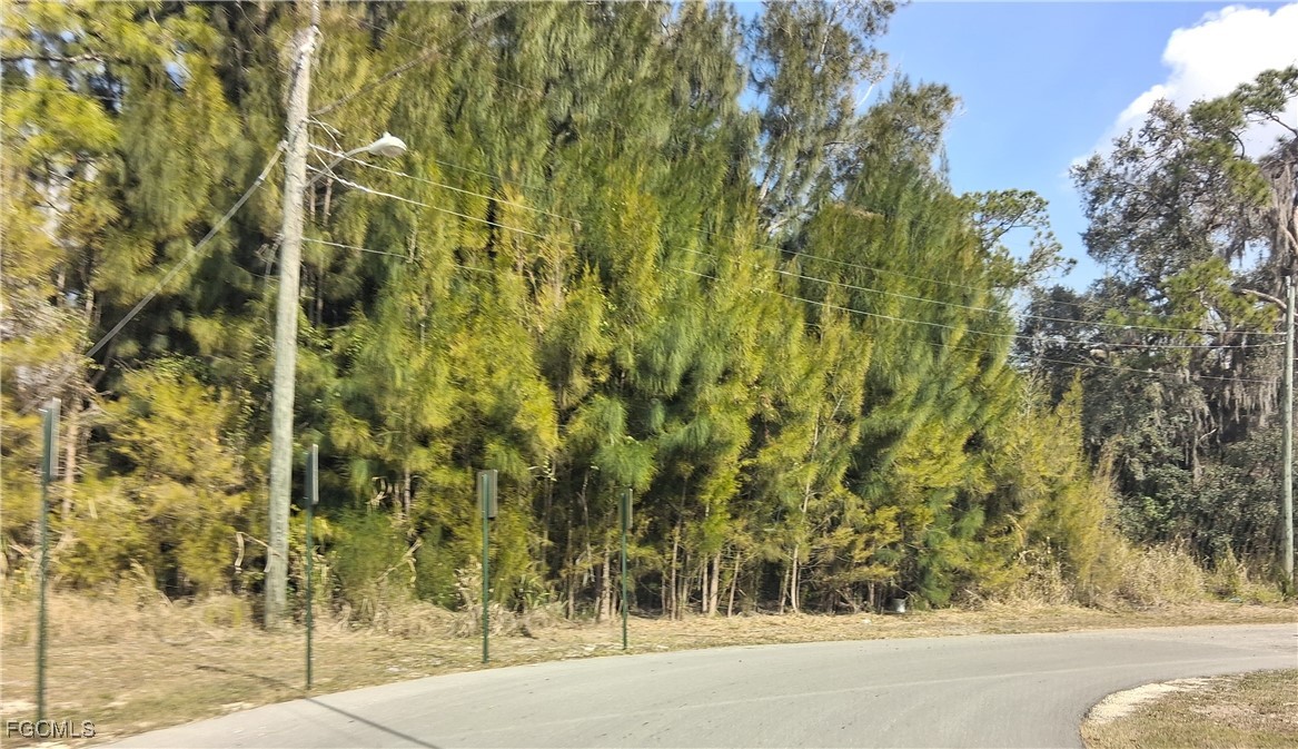 Suwanee Avenue LaBelle, FL 33935 - Photo 17 of 17