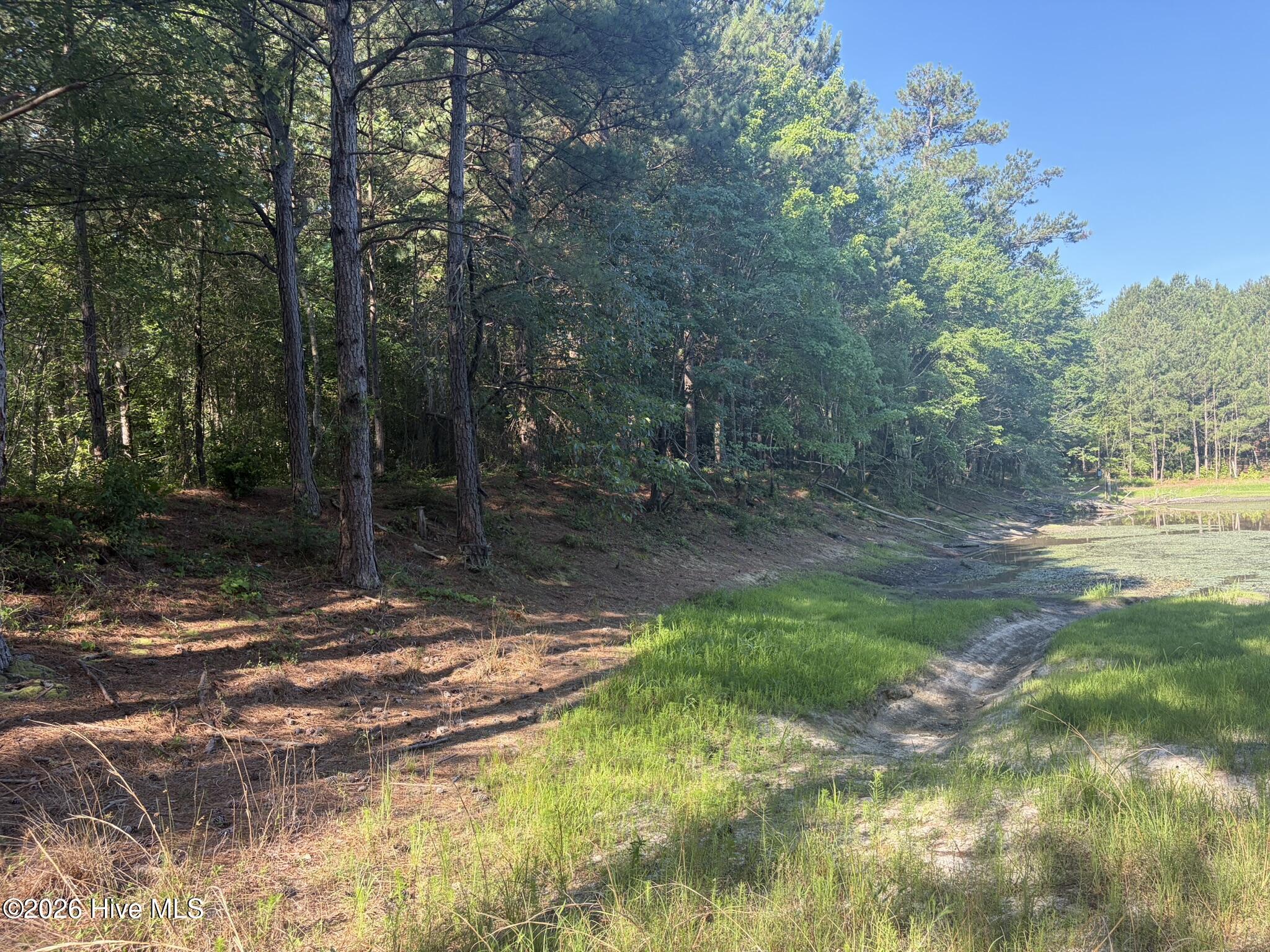 Tbd Jones Spring Church Road Ellerbe, NC 28338 - Photo 18 of 29
