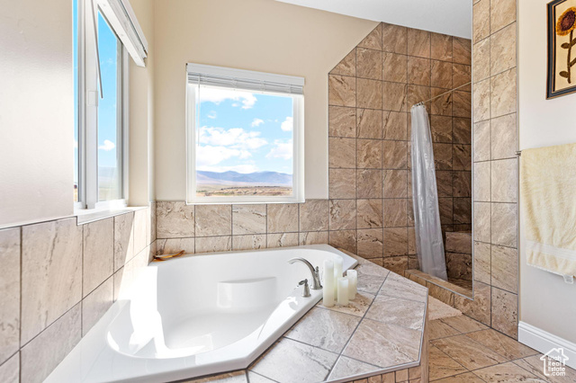 19502 South Olson Road Downey, ID 83234 - Photo 20 of 64 Main bath with a separate bath, a stall shower, a mountain view, and tile walls