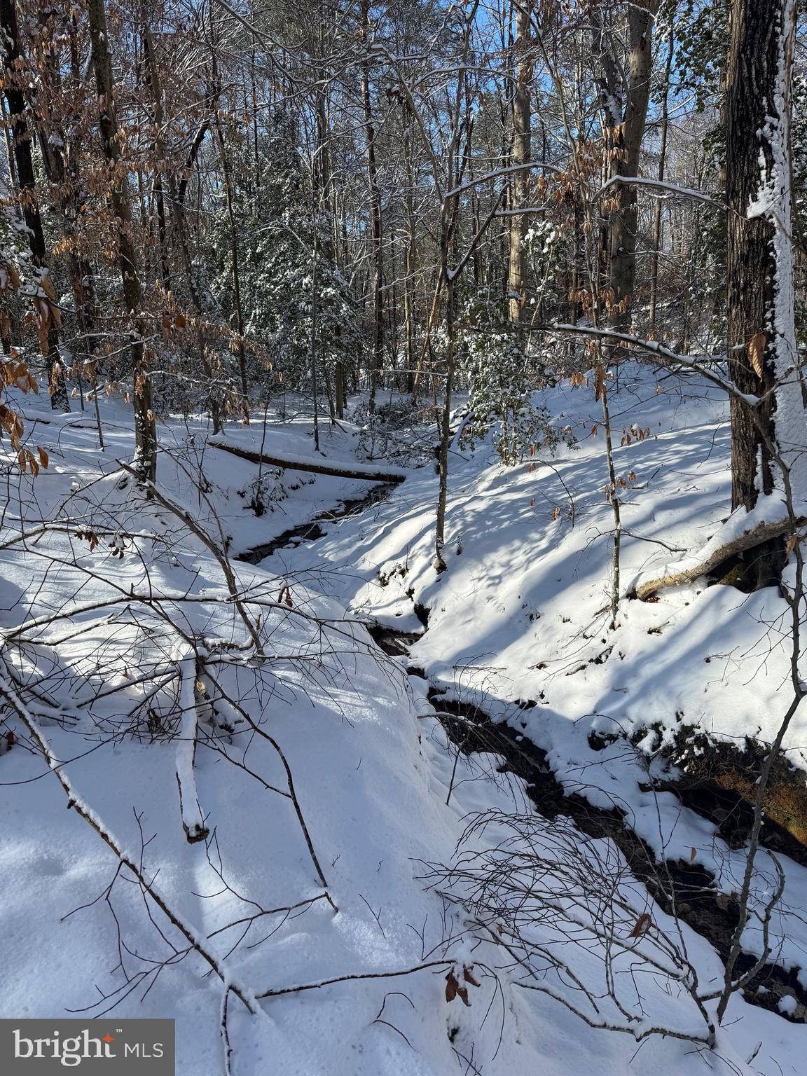 5170 Bemiss Road Richmond, VA 23234 - Photo 3 of 4