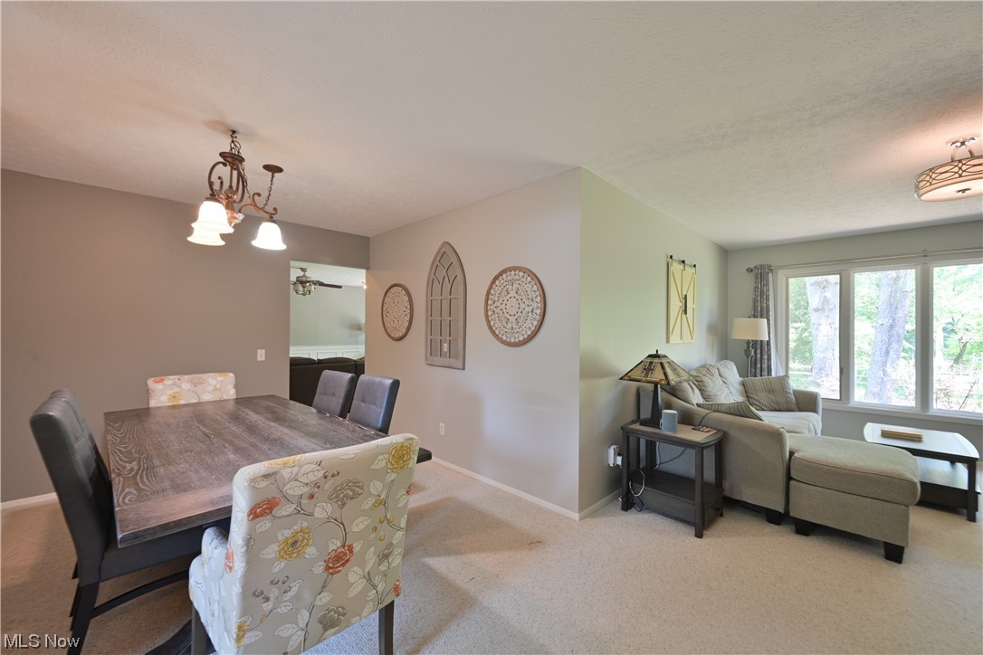 10749 Waterfall Road Strongsville, OH 44149 - Photo 6 of 29 Gallery Image 6