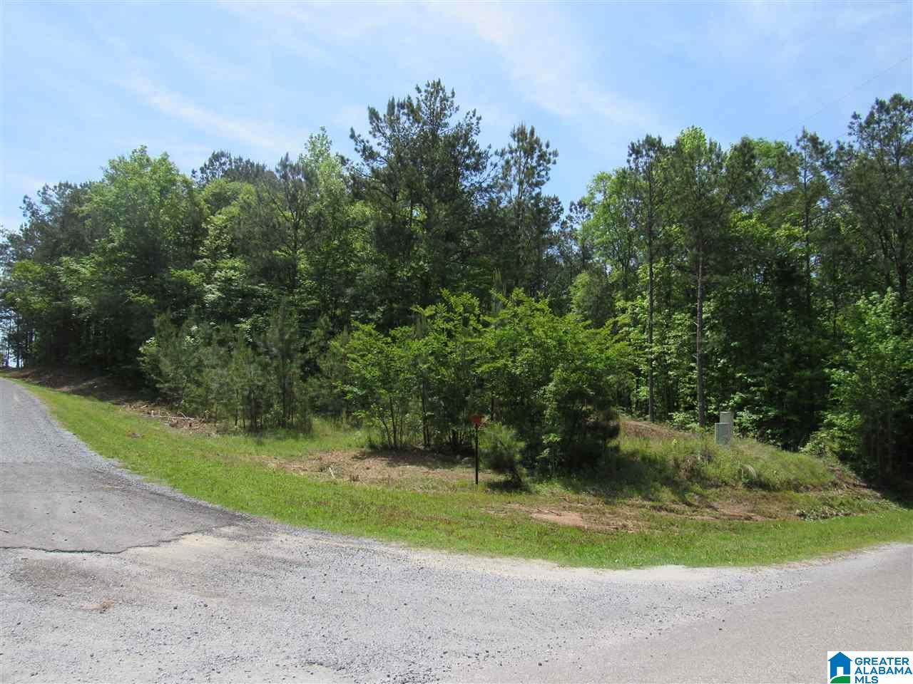 0 County Road 895, Unit 17 ACRES Lineville, AL 36266 - Photo 6 of 30