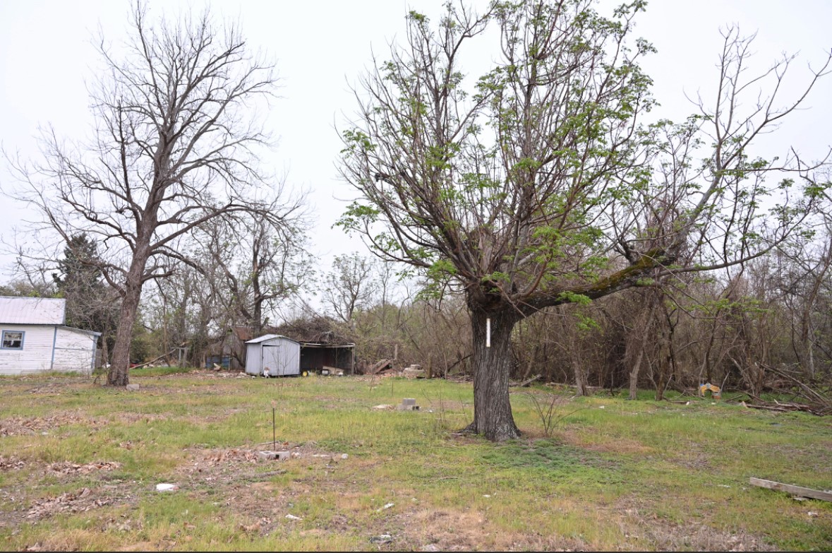 438 Low Wood Road Somerville, TX 77879 - Photo 1 of 10