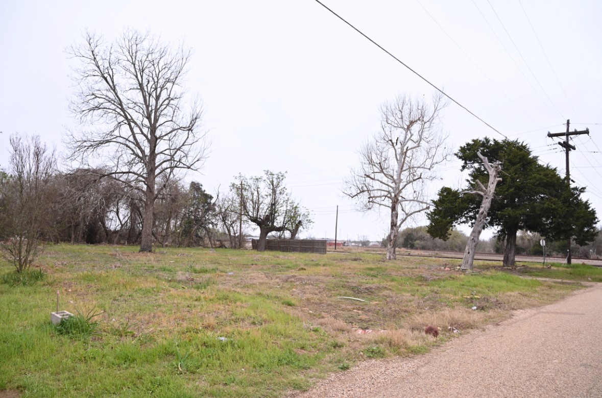 438 Low Wood Road Somerville, TX 77879 - Photo 2 of 10
