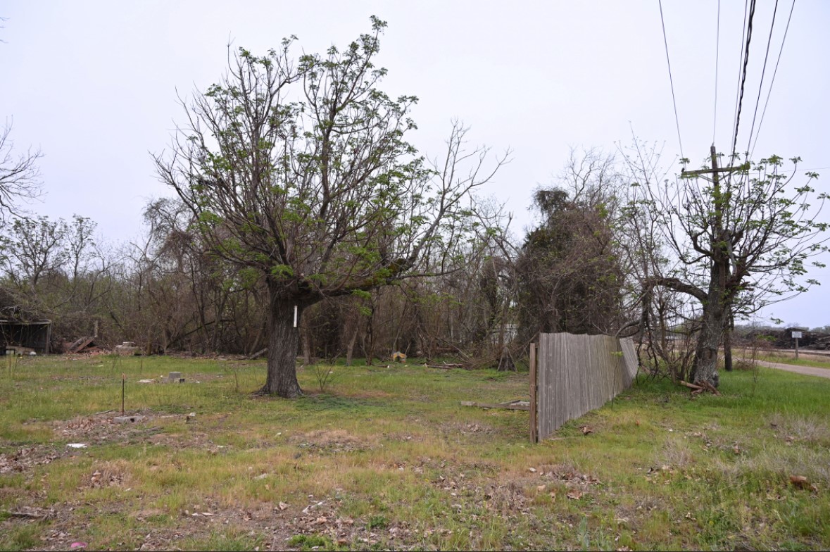 438 Low Wood Road Somerville, TX 77879 - Photo 4 of 10