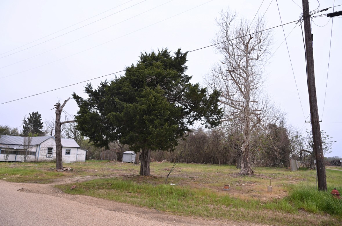 438 Low Wood Road Somerville, TX 77879 - Photo 5 of 10