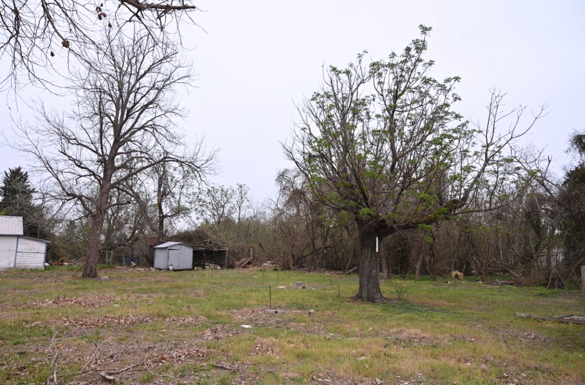 438 Low Wood Road Somerville, TX 77879 - Photo 6 of 10