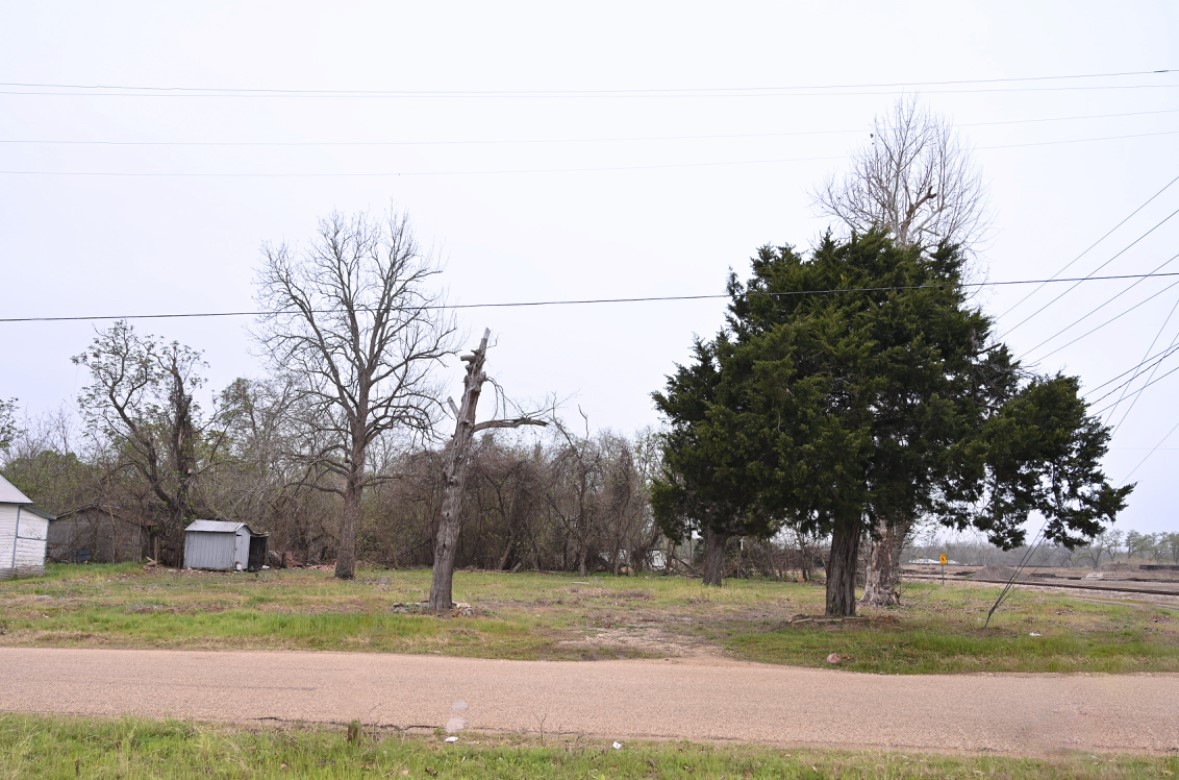 438 Low Wood Road Somerville, TX 77879 - Photo 8 of 10