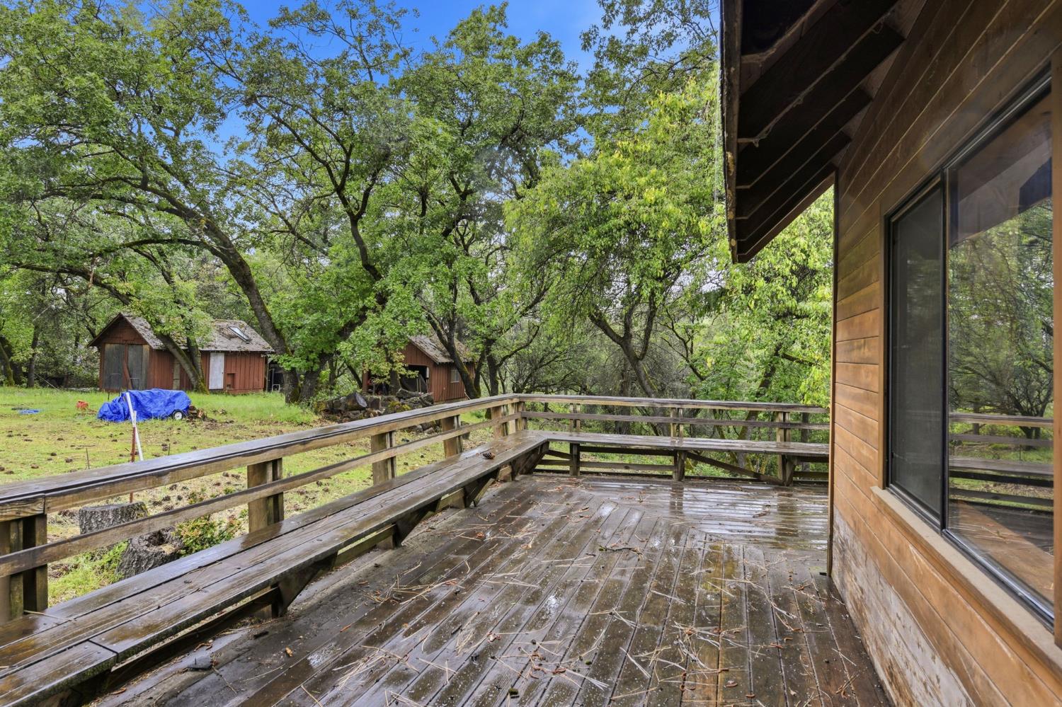 1950 Bear Rock Road Placerville, CA 95667 - Photo 44 of 50