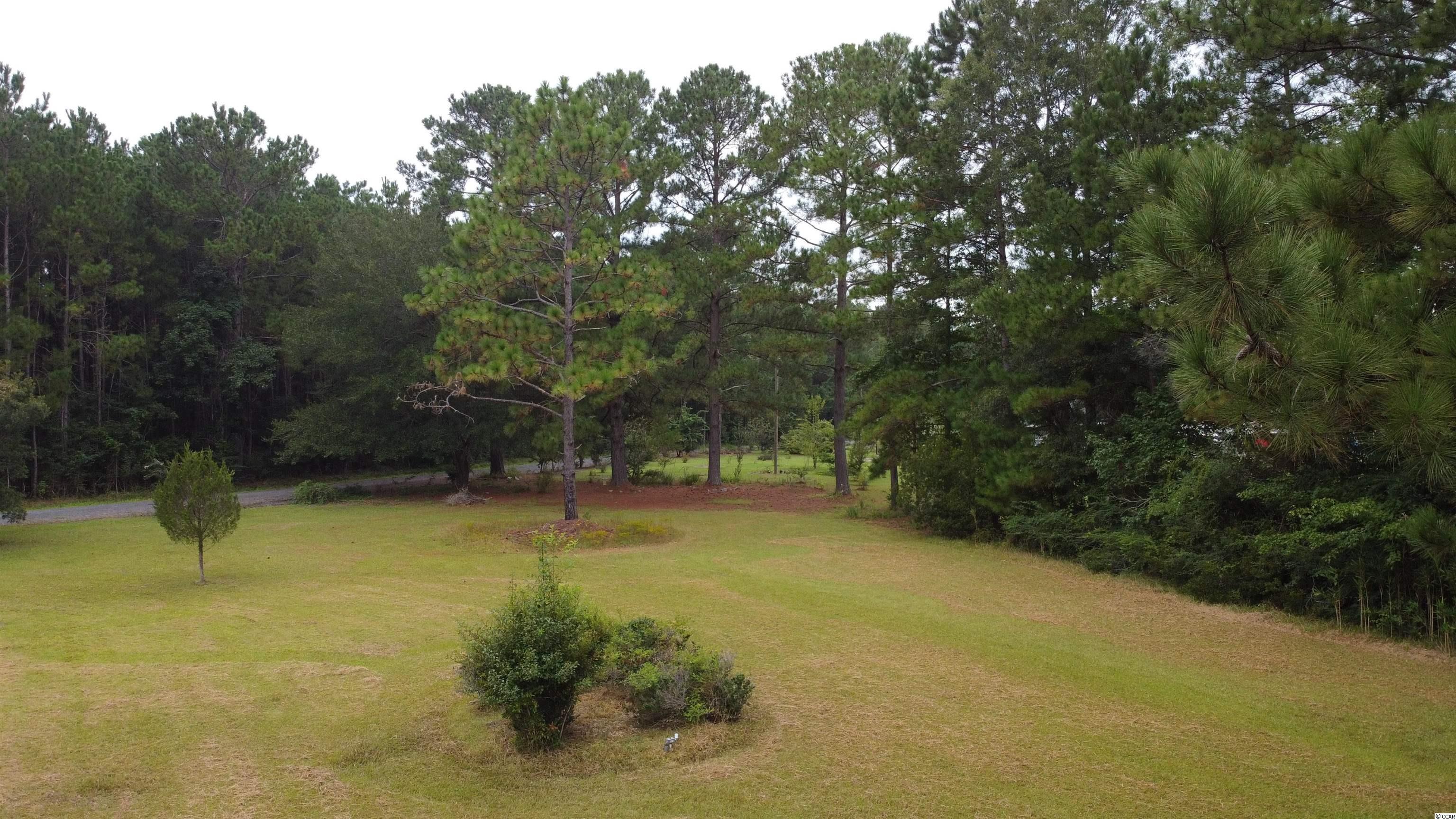 186 Rustwood Drive Georgetown, SC 29440 - Photo 4 of 17 Gallery Image 4