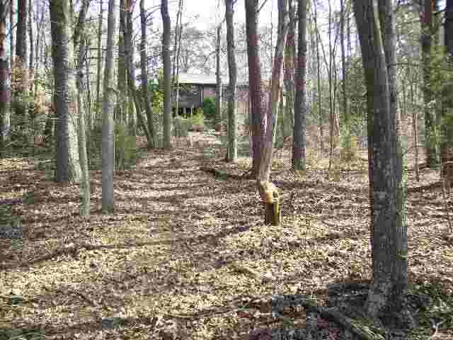 1314 Hunters Trail Anderson, SC 29625 - Photo 7 of 16 Gallery Image 7
