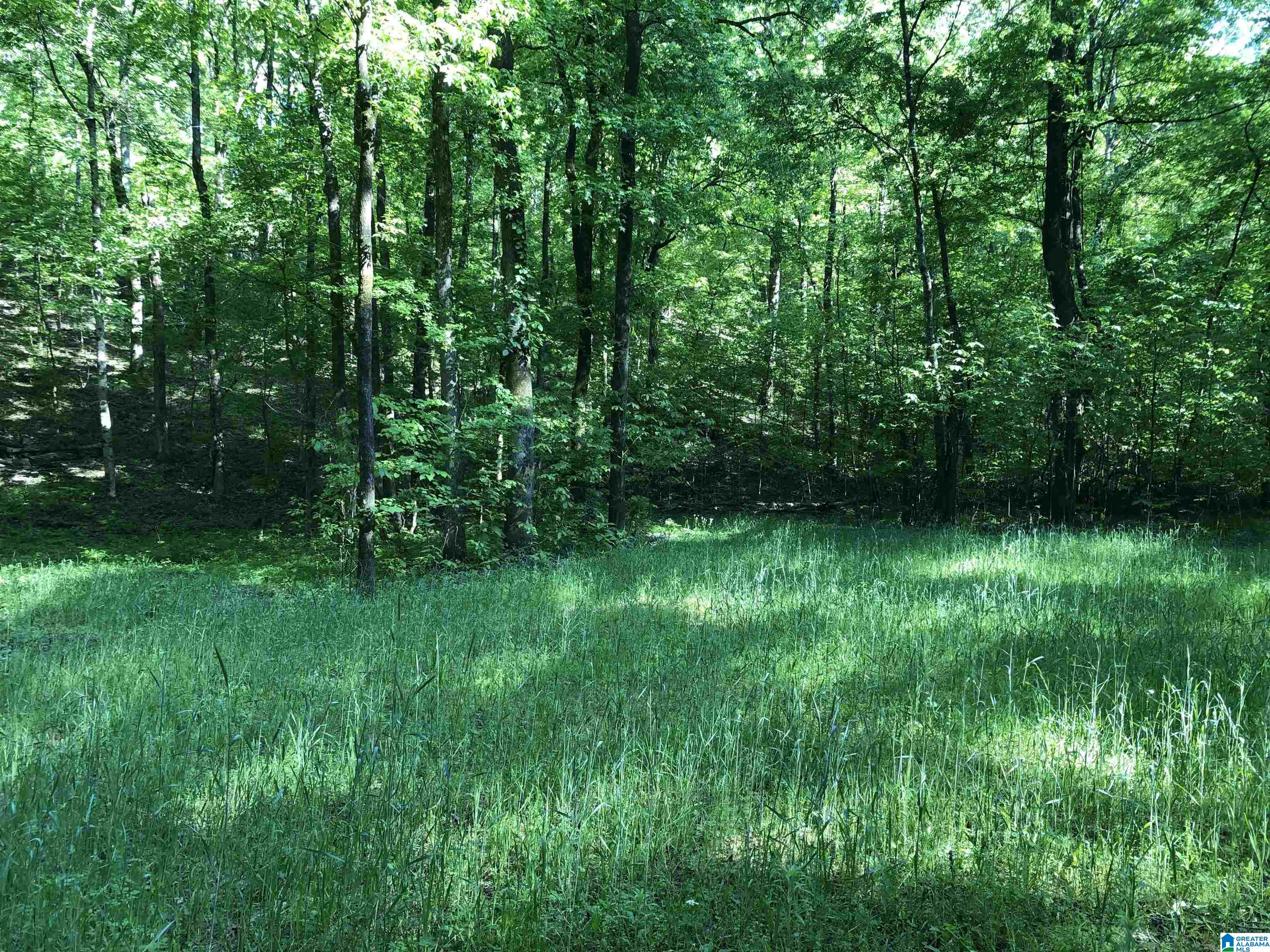 Copper Road Columbiana, AL 35051 - Photo 14 of 56 Gallery Image 14