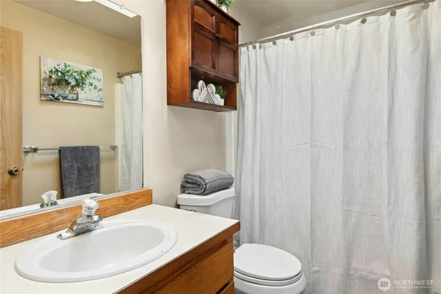a bathroom with a sink a toilet and shower curtain