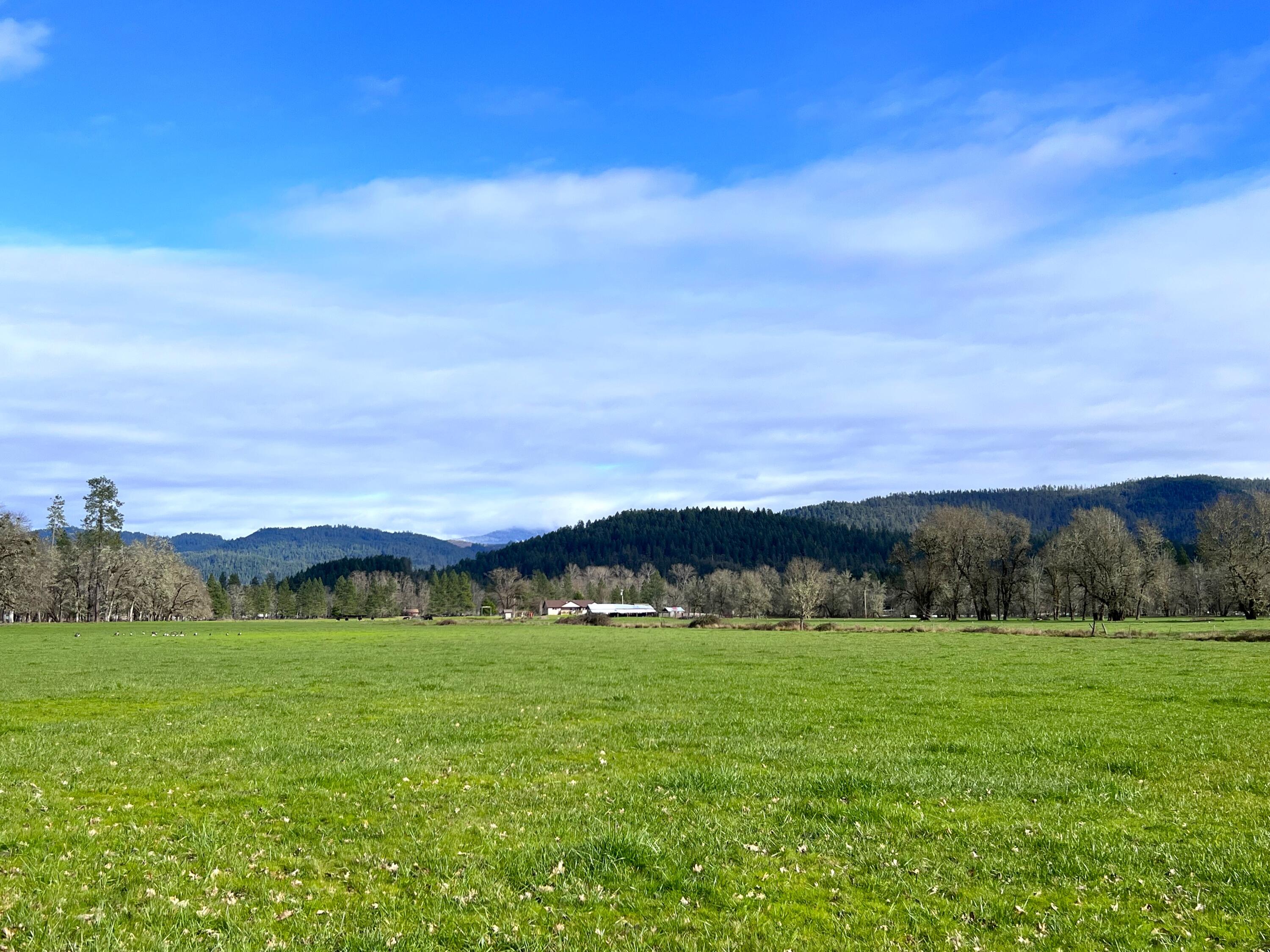 620 Dick George Road Cave Junction, OR 97523 - Photo 93 of 123 114