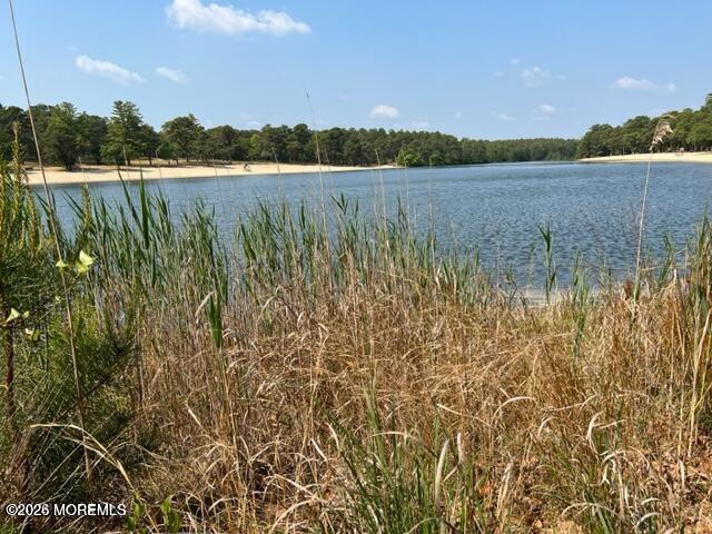 14 Berry Hill Road, Unit 72 Whiting, NJ 08759 - Photo 39 of 39 Harry Wright Lake View 3