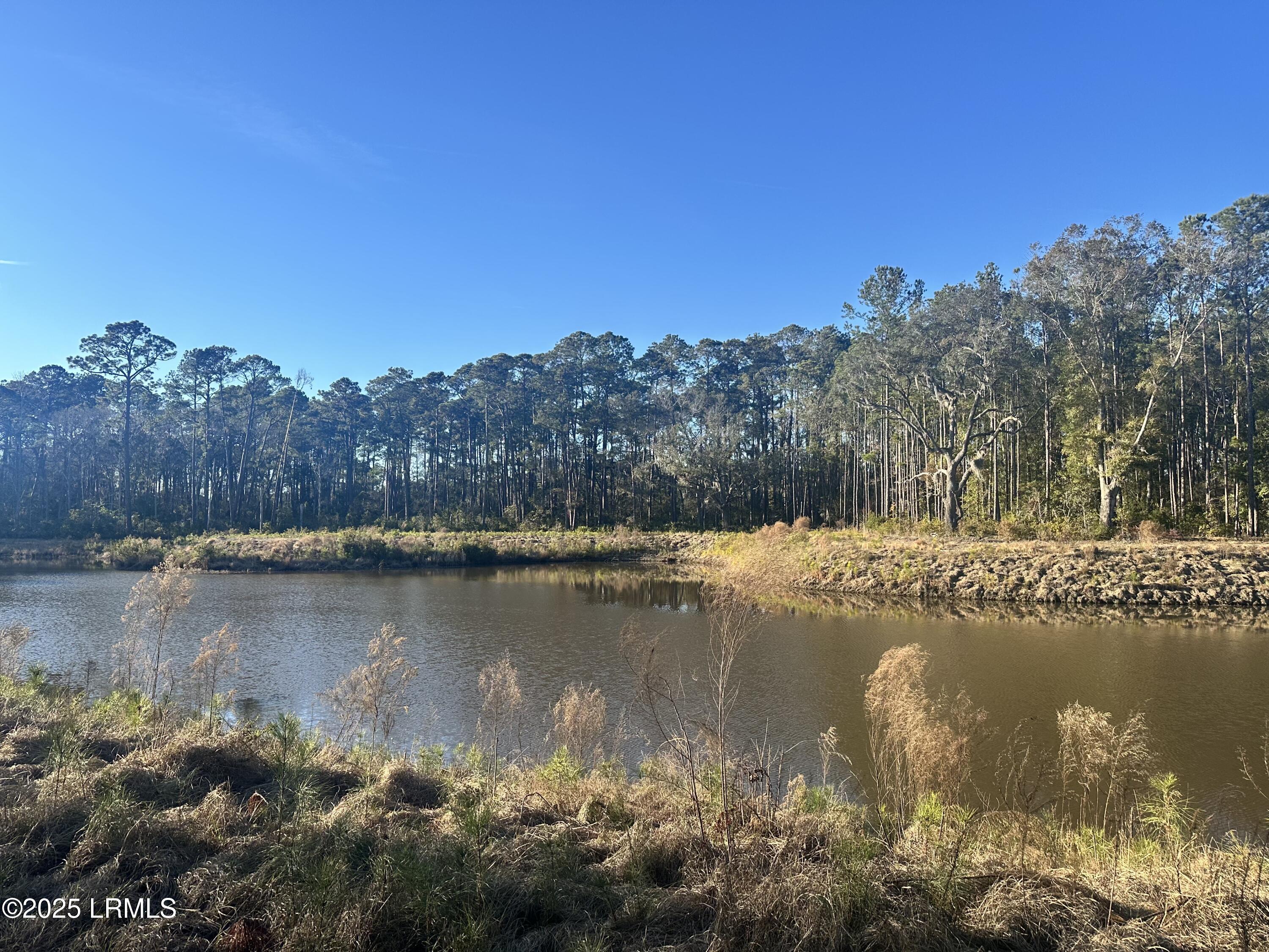 72 Lupine Road Bluffton, SC 29910 - Photo 11 of 51 IMG_4303