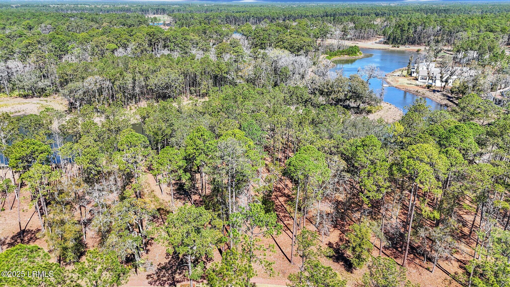 72 Lupine Road Bluffton, SC 29910 - Photo 17 of 51 3-web-or-mls-DJI_20250317115915_0015_D