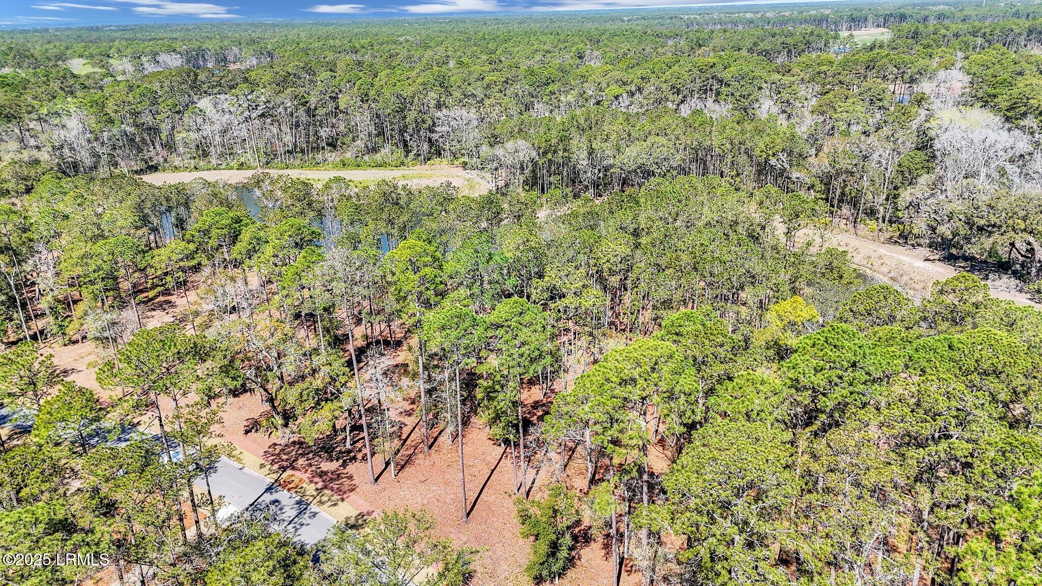 72 Lupine Road Bluffton, SC 29910 - Photo 18 of 51 2-web-or-mls-DJI_20250317115855_0014_D