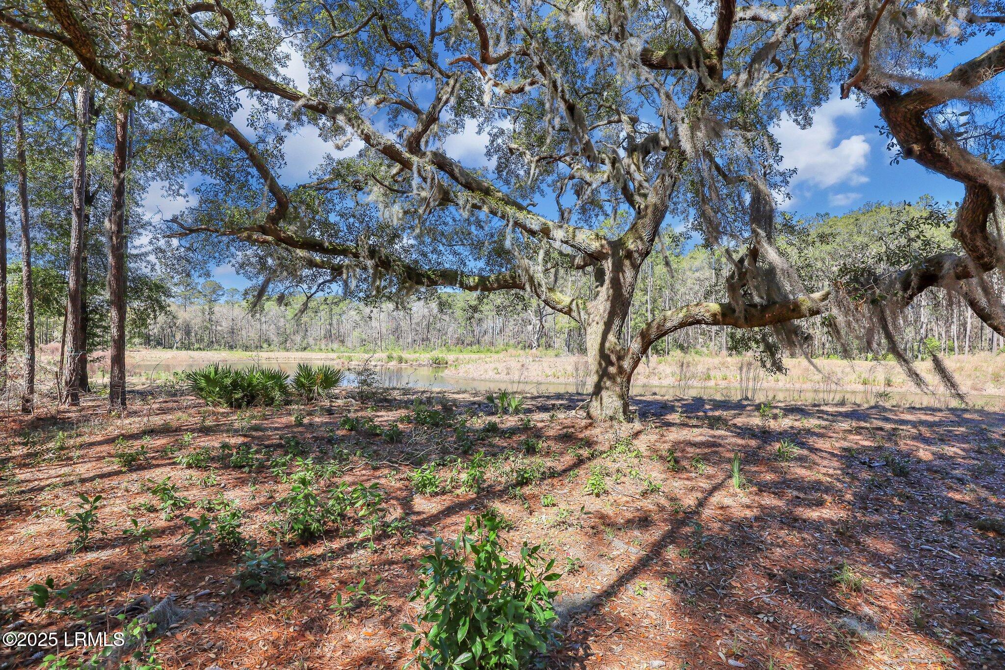 72 Lupine Road Bluffton, SC 29910 - Photo 6 of 51 18-web-or-mls-IMG_4349
