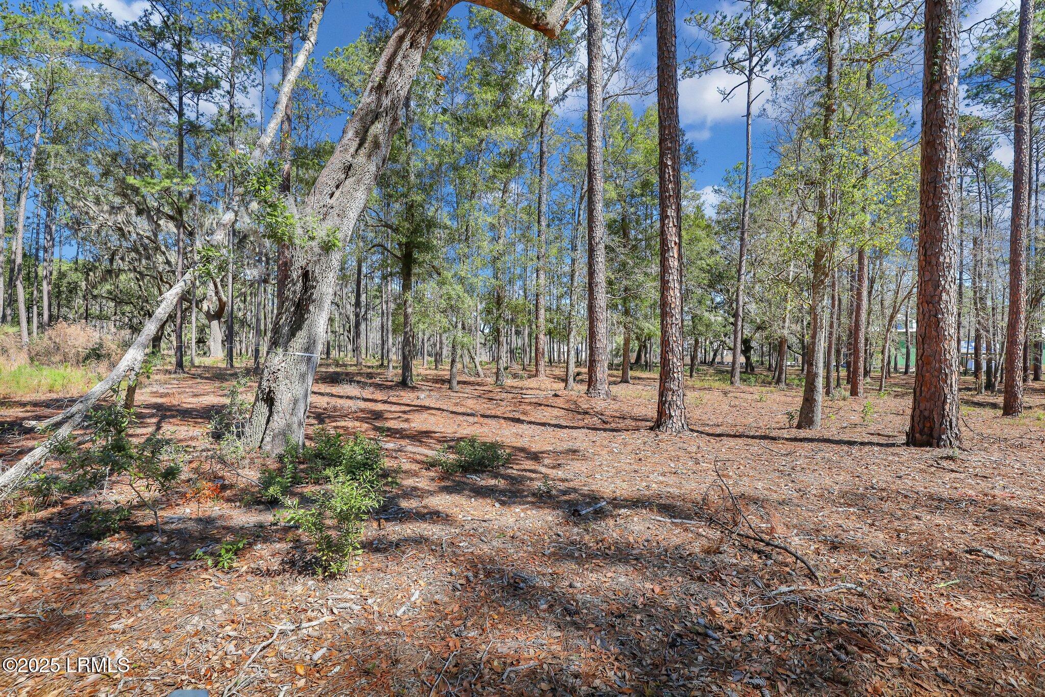 72 Lupine Road Bluffton, SC 29910 - Photo 10 of 51 16-web-or-mls-IMG_4339