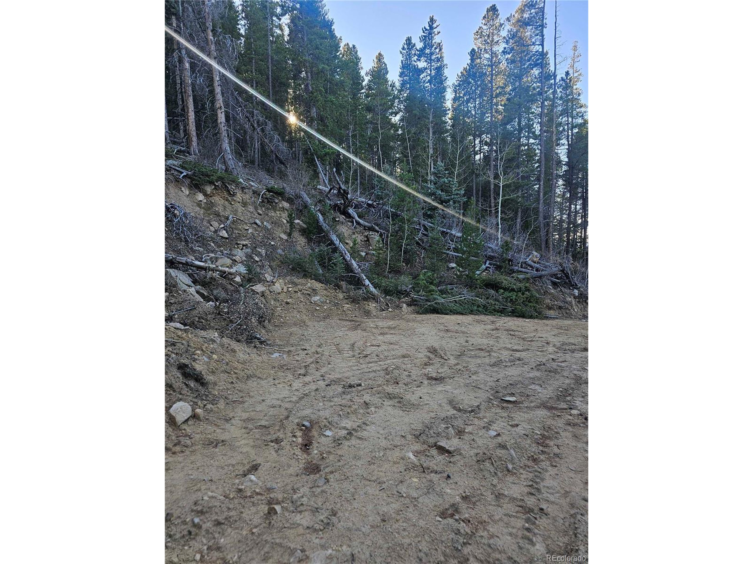 35 72 W Golden, CO 80403 - Photo 3 of 19 a view of a dry yard with trees