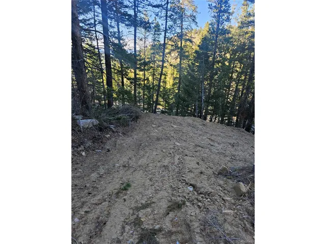 a view of a yard with trees