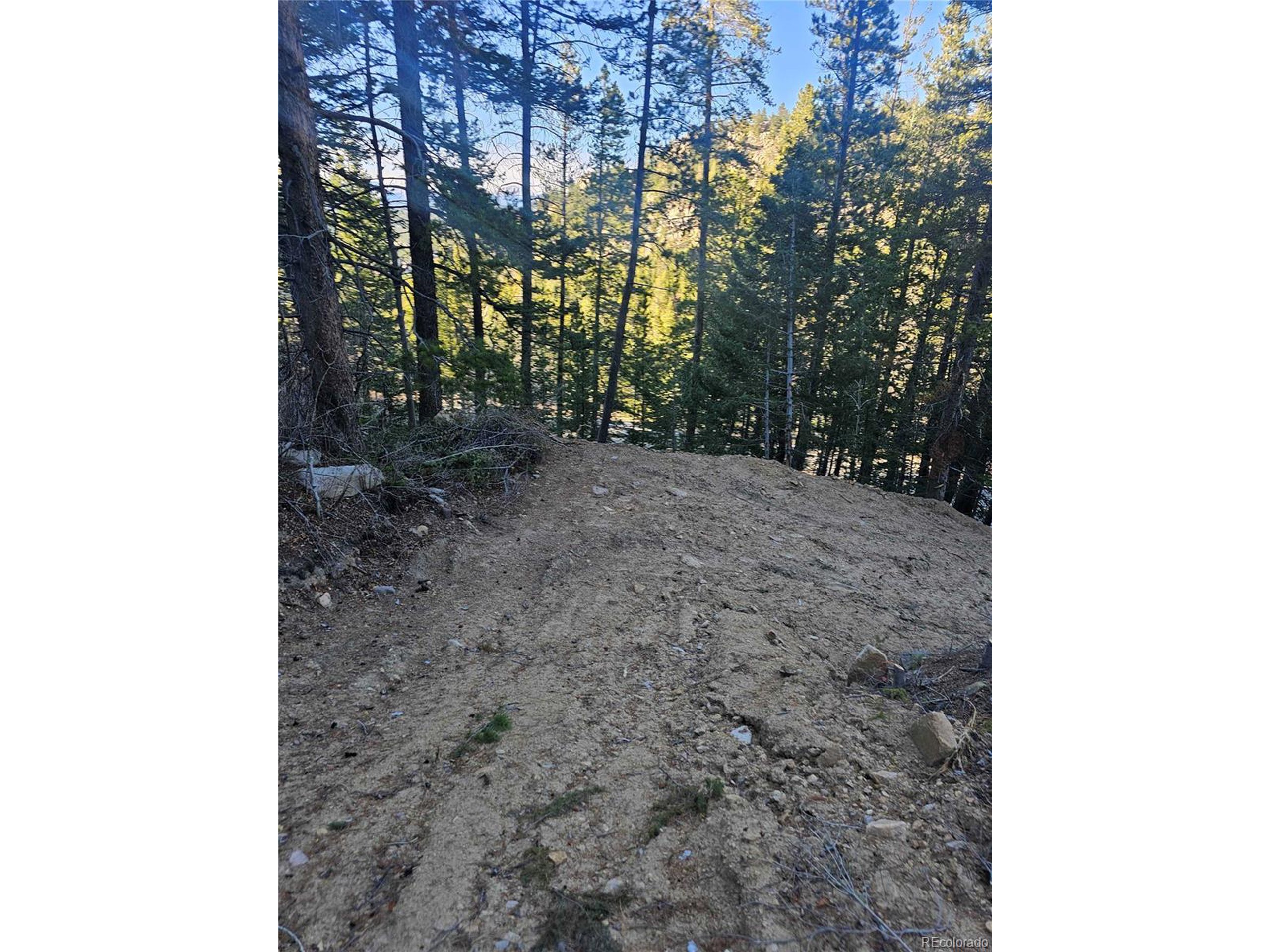 35 72 W Golden, CO 80403 - Photo 6 of 19 a view of a yard with trees