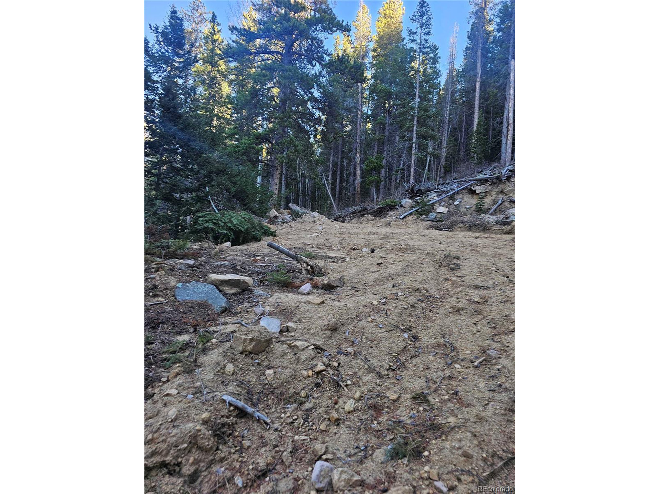 35 72 W Golden, CO 80403 - Photo 7 of 19 a view of a yard with trees