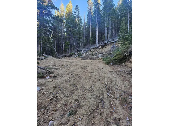 a view of a backyard with trees