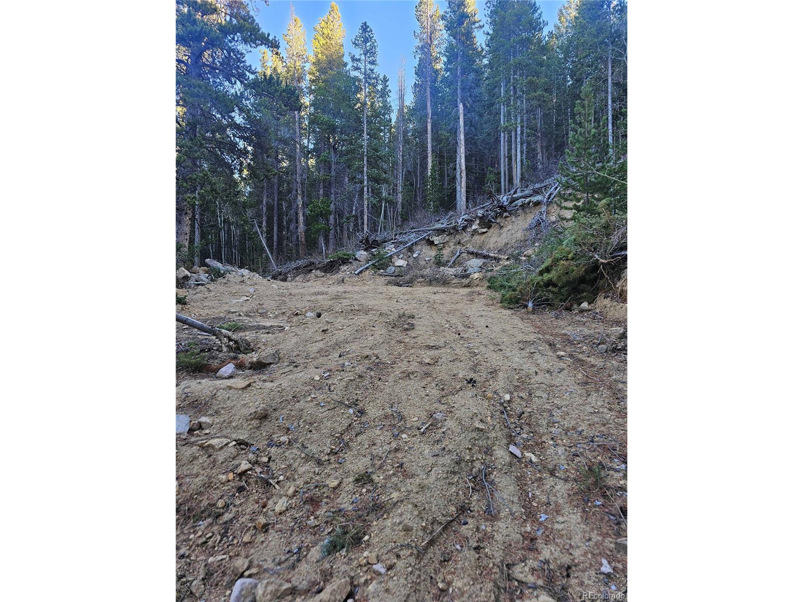 35 72 W Golden, CO 80403 - Photo 8 of 19 a view of a backyard with trees