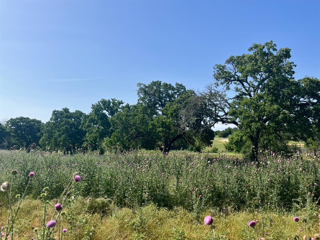 Lot 75 Kilkenny Road Poolville, TX 76487 - Photo 3 of 9