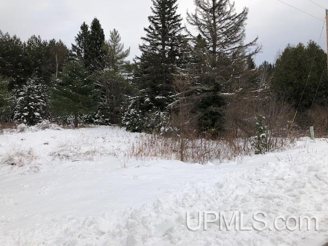 Tbd Angman Road Calumet, MI 49945 - Photo 3 of 21