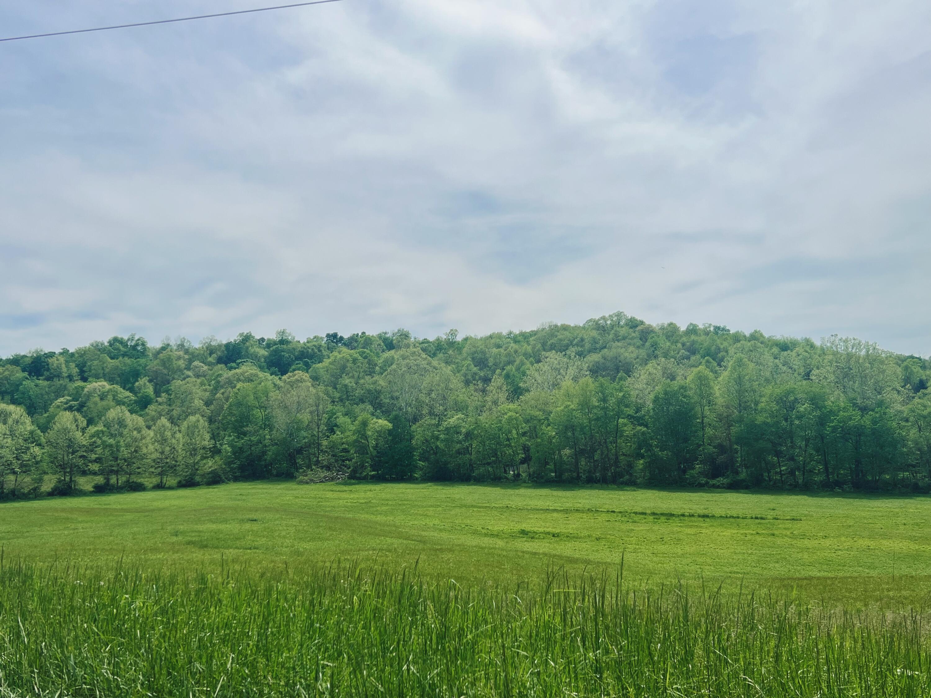 21421 Griffith Road Logan, OH 43138 - Photo 20 of 20 RNI-Films-IMG-4CE4994F-F6C0-4B2D-8122-0D