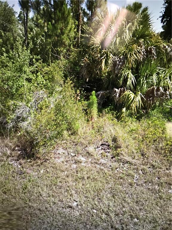 26236 Scham Road Punta Gorda, FL 33955 - Photo 1 of 1 Gallery Image 1
