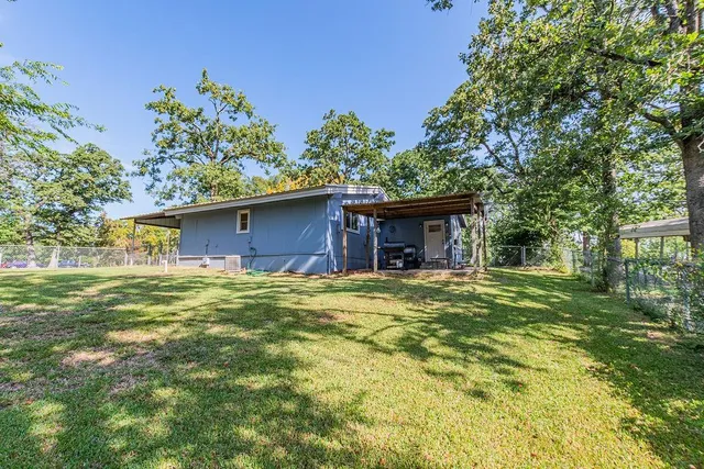 a tall tree in middle of green field